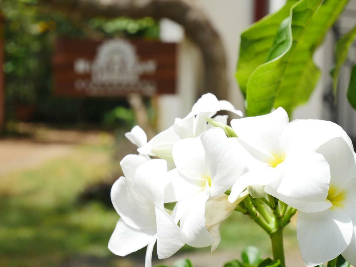 Hideaway Lodge Tangalle Luaran gambar