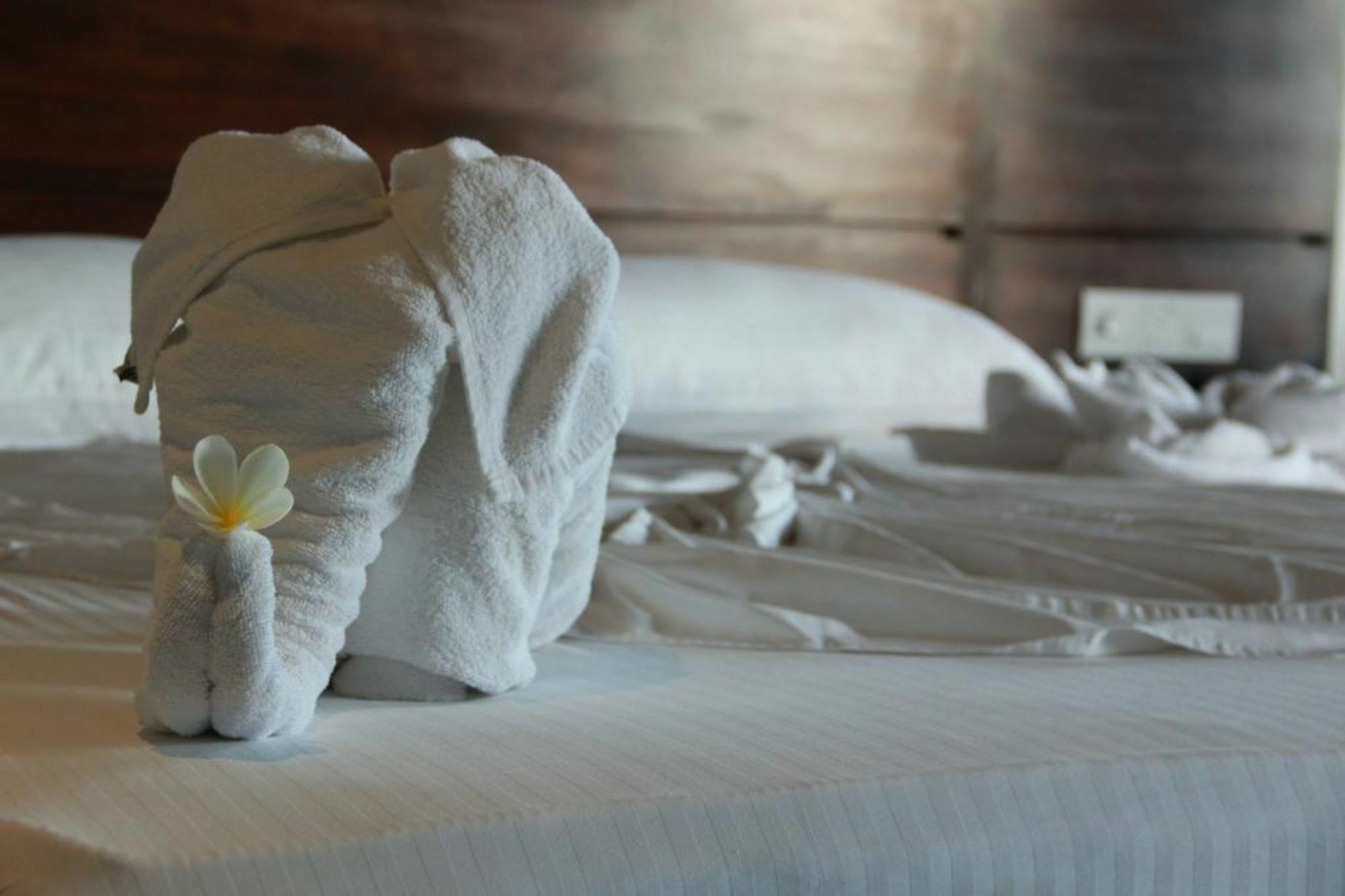 Hideaway Lodge Tangalle Luaran gambar